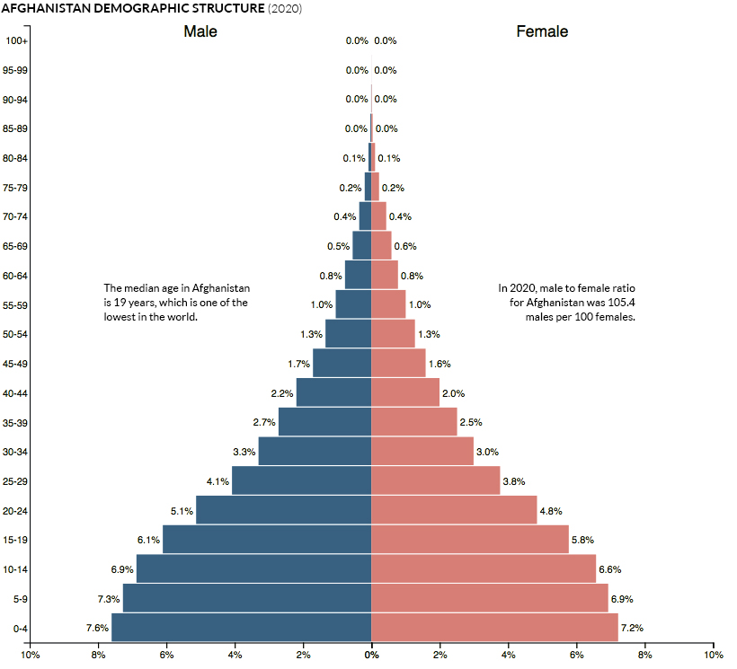 afghanistan demographic population pyramid