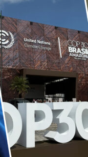 What We’re Watching