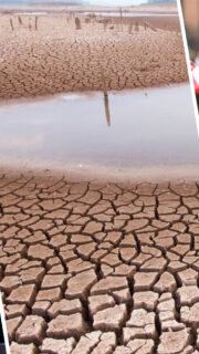 What We’re Watching