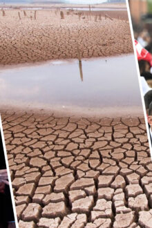 What We’re Watching