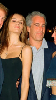 From Lolita Express to the White House: The Epsteingate Affair